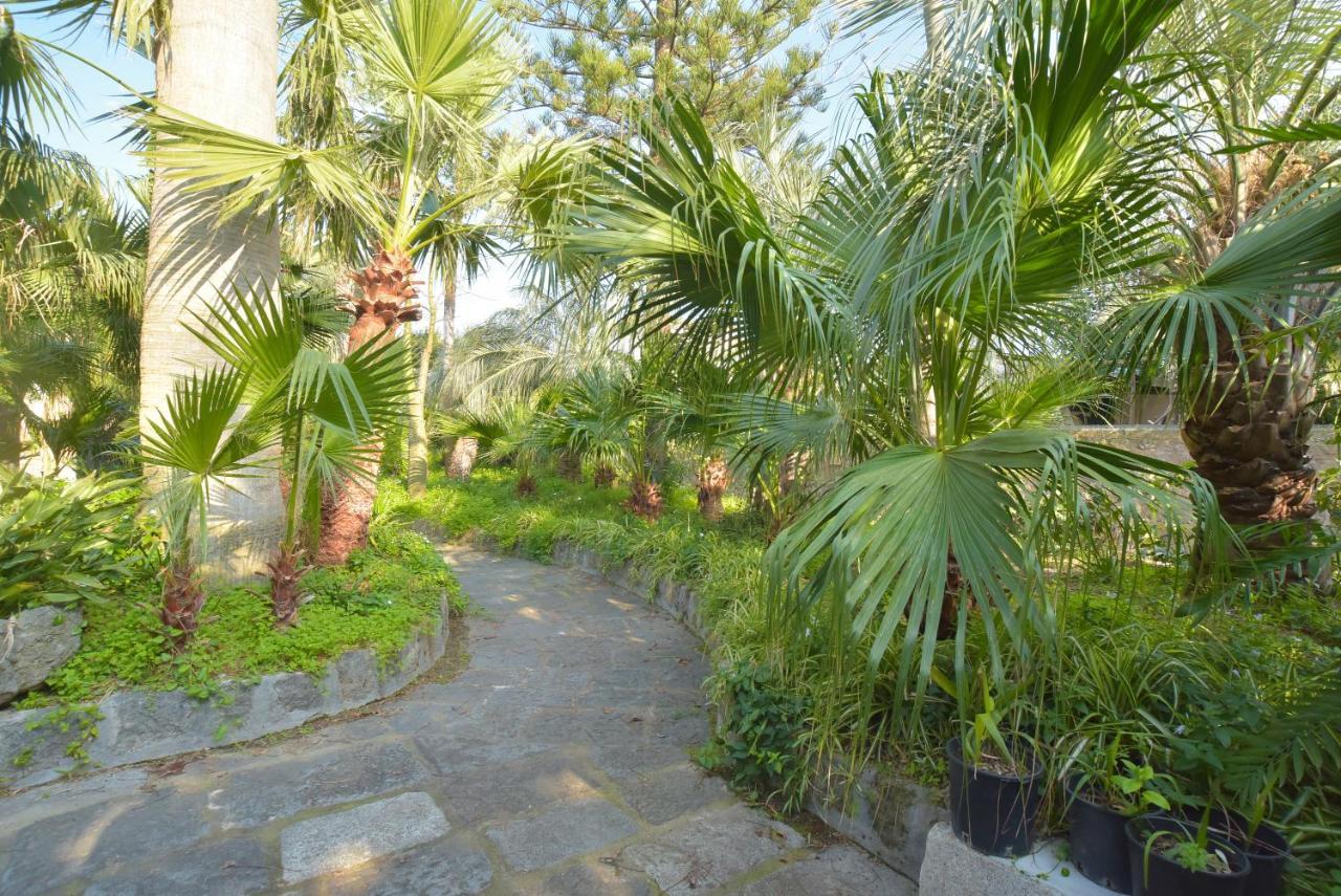 B&B Villa Regine Forio di Ischia المظهر الخارجي الصورة